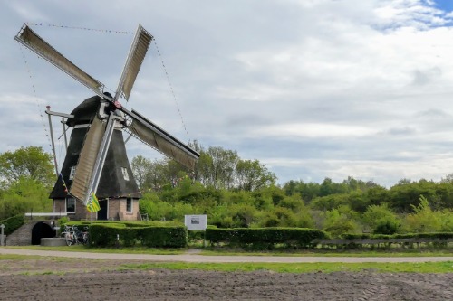 molen Ruinen Zaandplatte 