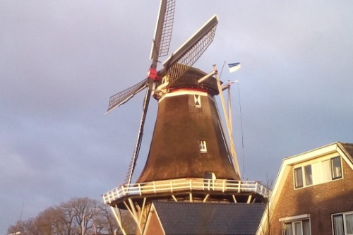 korenmolen de zwaluw Hoogeveen 